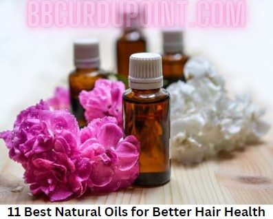 11 Best Natural Oils for Better Hair Health