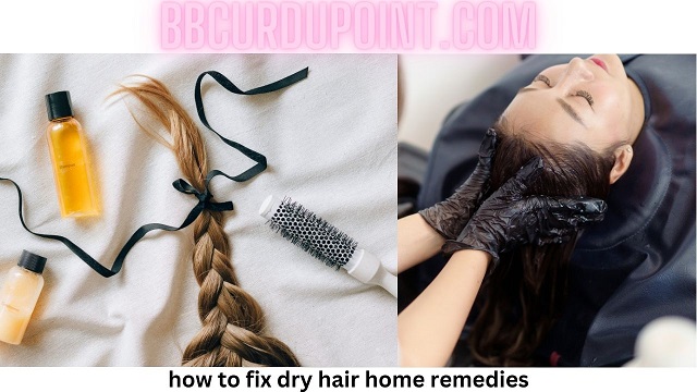 how to fix dry hair home remedies